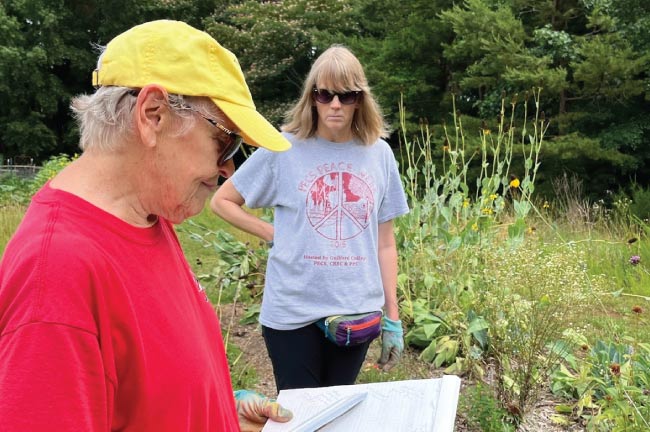 Gleaning Garden